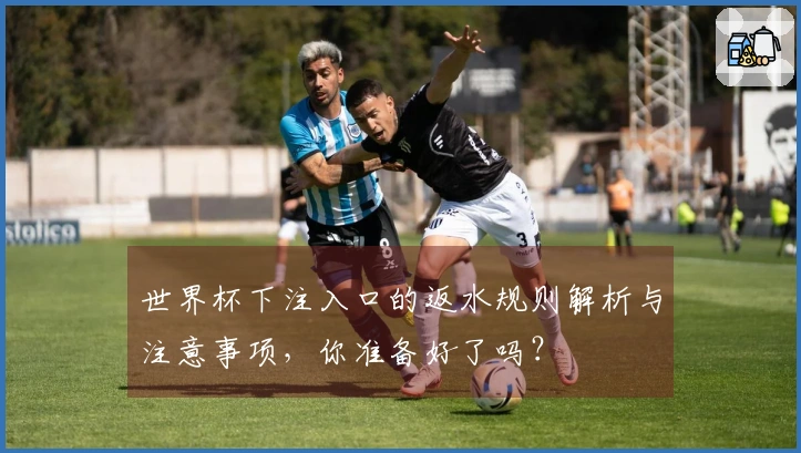 世界杯下注入口的返水规则解析与注意事项，你准备好了吗？