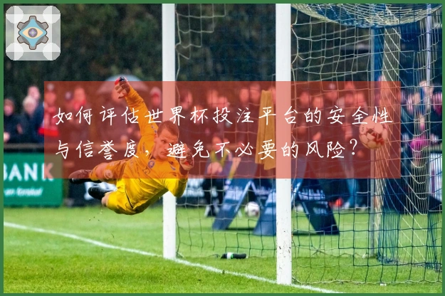 如何评估世界杯投注平台的安全性与信誉度，避免不必要的风险？