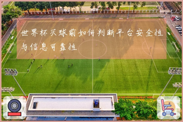世界杯买球前如何判断平台安全性与信息可靠性