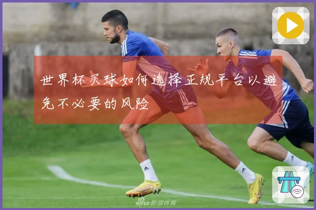 世界杯买球如何选择正规平台以避免不必要的风险