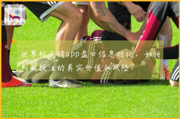 世界杯竞猜app盘口信息对比，如何判断投注的真实价值和风险？