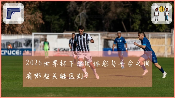 2026世界杯下注时体彩与平台之间有哪些关键区别？