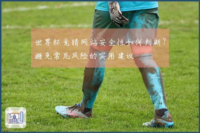 世界杯竞猜网站安全性如何判断？避免常见风险的实用建议