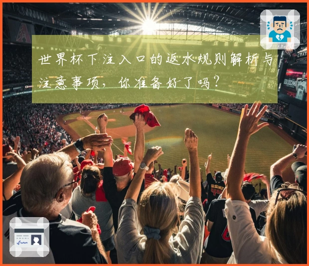 世界杯下注入口的返水规则解析与注意事项，你准备好了吗？