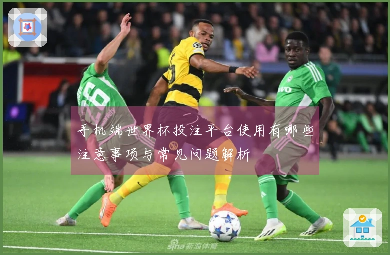 手机端世界杯投注平台使用有哪些注意事项与常见问题解析