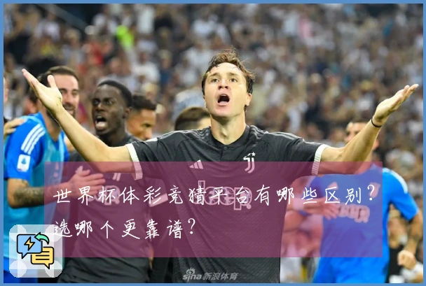 世界杯体彩竞猜平台有哪些区别？选哪个更靠谱？