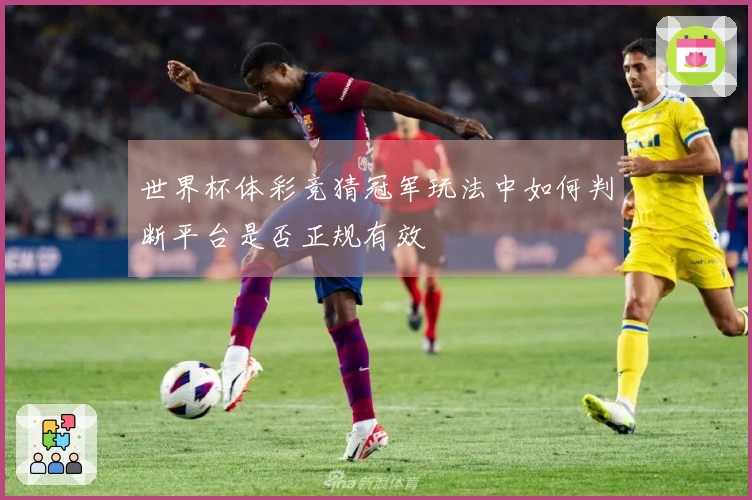 世界杯体彩竞猜冠军玩法中如何判断平台是否正规有效