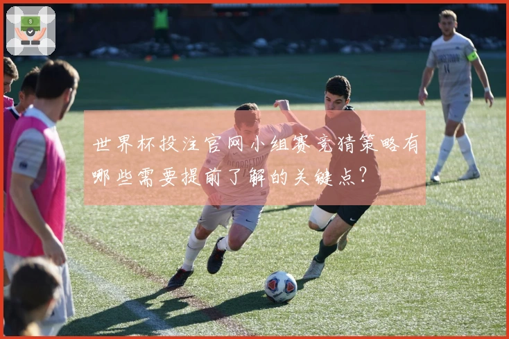 世界杯投注官网小组赛竞猜策略有哪些需要提前了解的关键点？