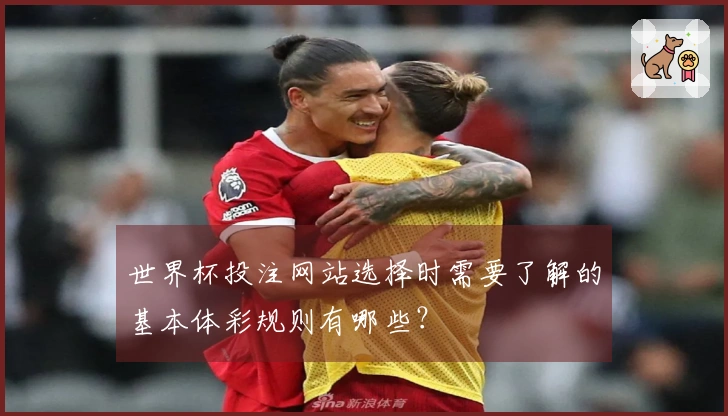 世界杯投注网站选择时需要了解的基本体彩规则有哪些？