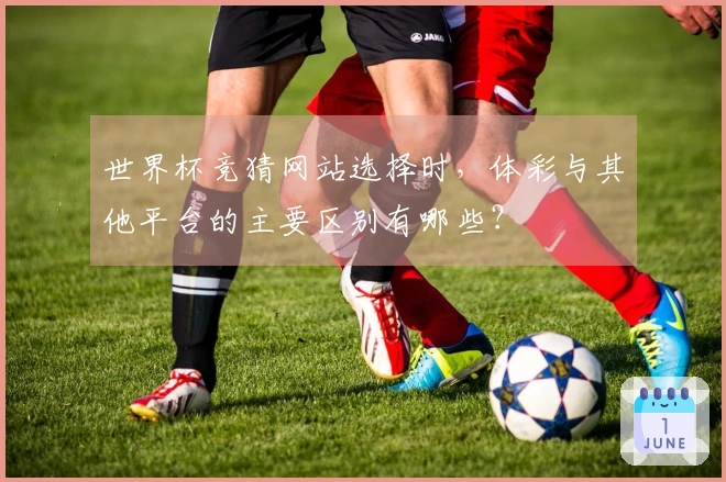 世界杯竞猜网站选择时，体彩与其他平台的主要区别有哪些？