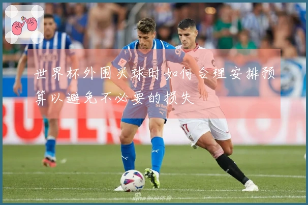 世界杯外围买球时如何合理安排预算以避免不必要的损失