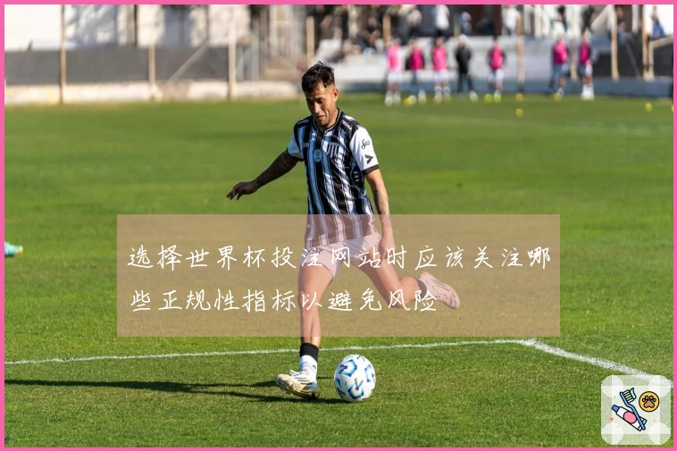 选择世界杯投注网站时应该关注哪些正规性指标以避免风险
