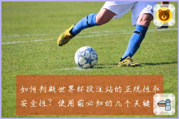如何判断世界杯投注站的正规性和安全性？使用前必知的几个关键点