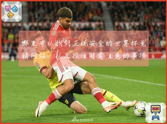 哪里可以找到正规安全的世界杯竞猜网站，以及投注时需注意的事项