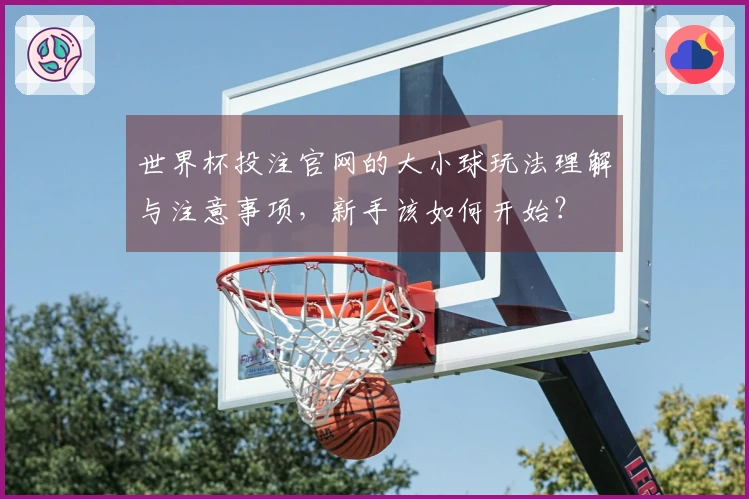 世界杯投注官网的大小球玩法理解与注意事项，新手该如何开始？