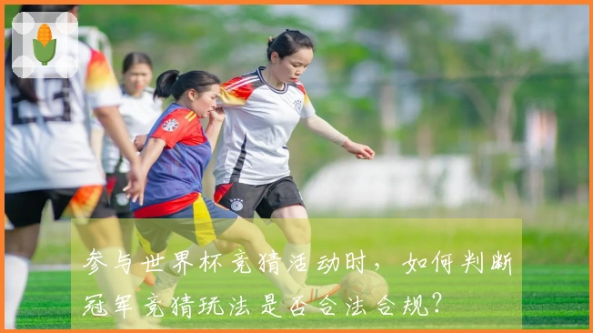 参与世界杯竞猜活动时，如何判断冠军竞猜玩法是否合法合规？