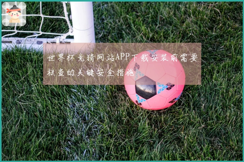 世界杯竞猜网站APP下载安装前需要核查的关键安全措施
