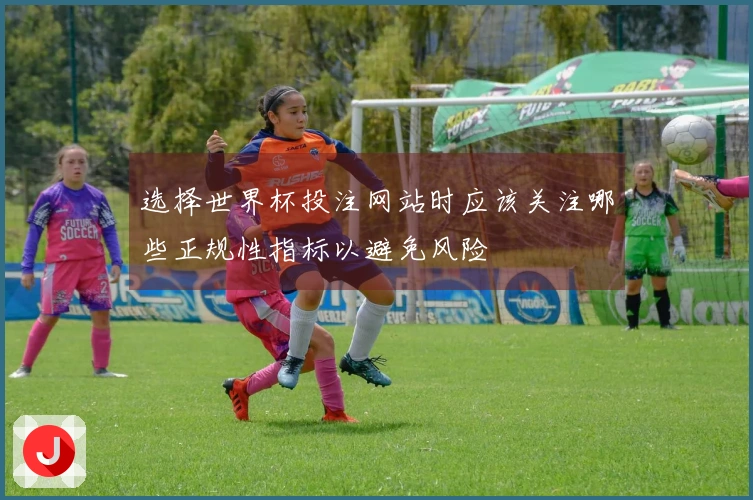 选择世界杯投注网站时应该关注哪些正规性指标以避免风险