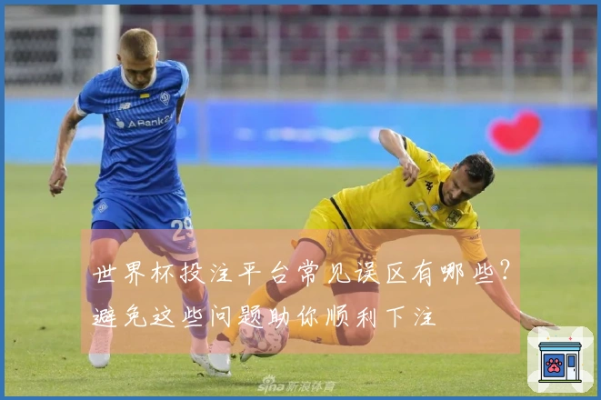 世界杯投注平台常见误区有哪些？避免这些问题助你顺利下注