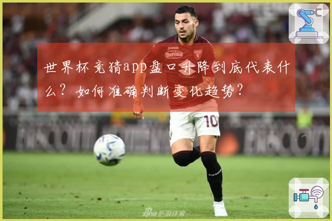 世界杯竞猜app盘口升降到底代表什么？如何准确判断变化趋势？