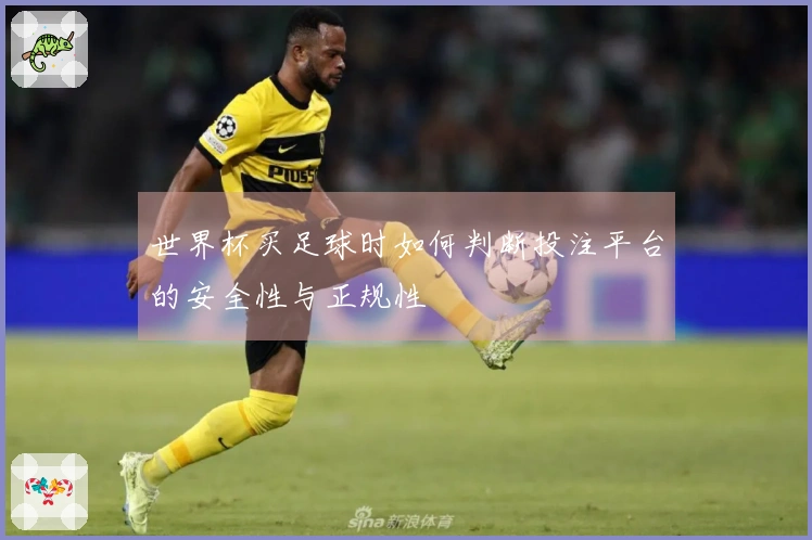 世界杯买足球时如何判断投注平台的安全性与正规性