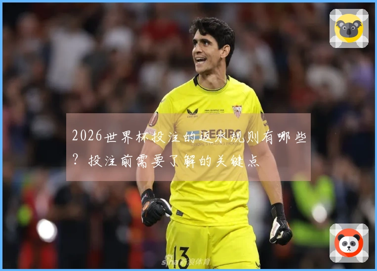 2026世界杯投注的返水规则有哪些？投注前需要了解的关键点