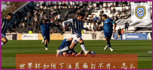 世界杯如何下注页面打不开，怎么解决才能顺利参与投注