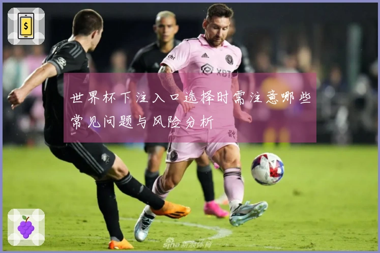 世界杯下注入口选择时需注意哪些常见问题与风险分析