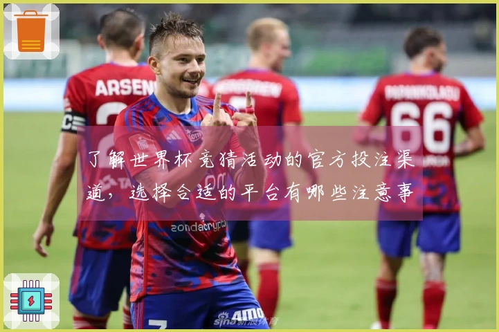 了解世界杯竞猜活动的官方投注渠道，选择合适的平台有哪些注意事项？