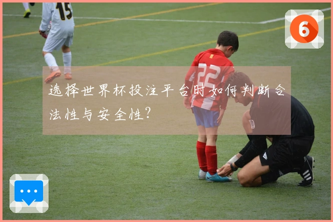 选择世界杯投注平台时如何判断合法性与安全性？