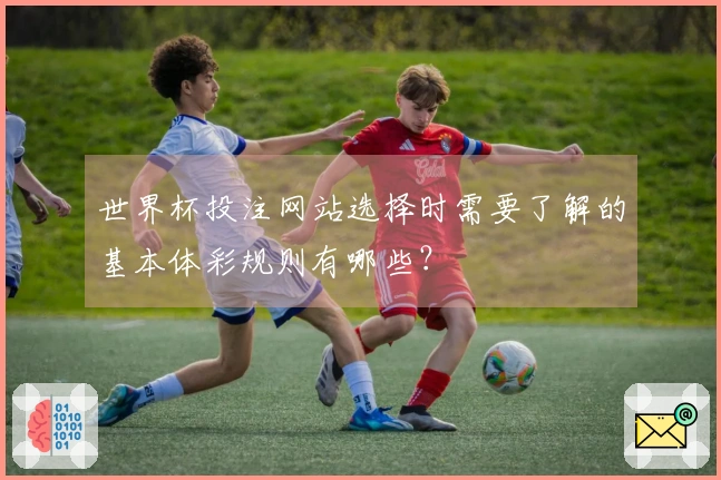 世界杯投注网站选择时需要了解的基本体彩规则有哪些？