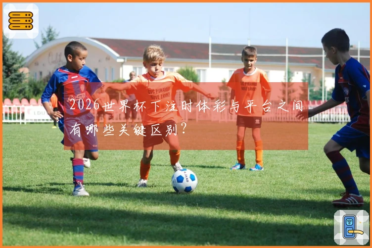 2026世界杯下注时体彩与平台之间有哪些关键区别？