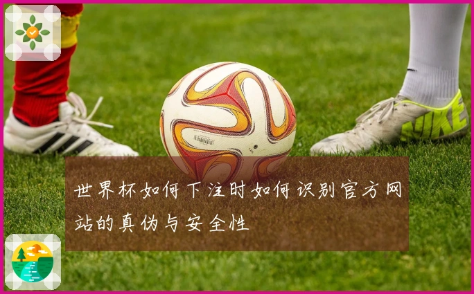 世界杯如何下注时如何识别官方网站的真伪与安全性