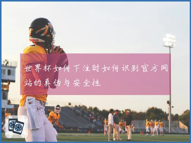世界杯如何下注时如何识别官方网站的真伪与安全性