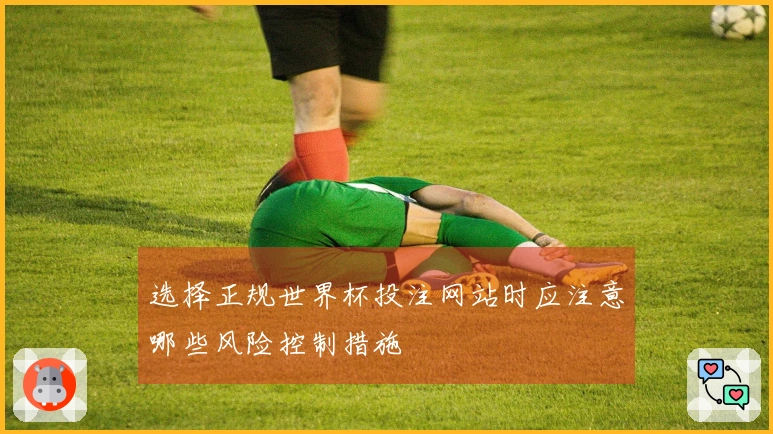 选择正规世界杯投注网站时应注意哪些风险控制措施